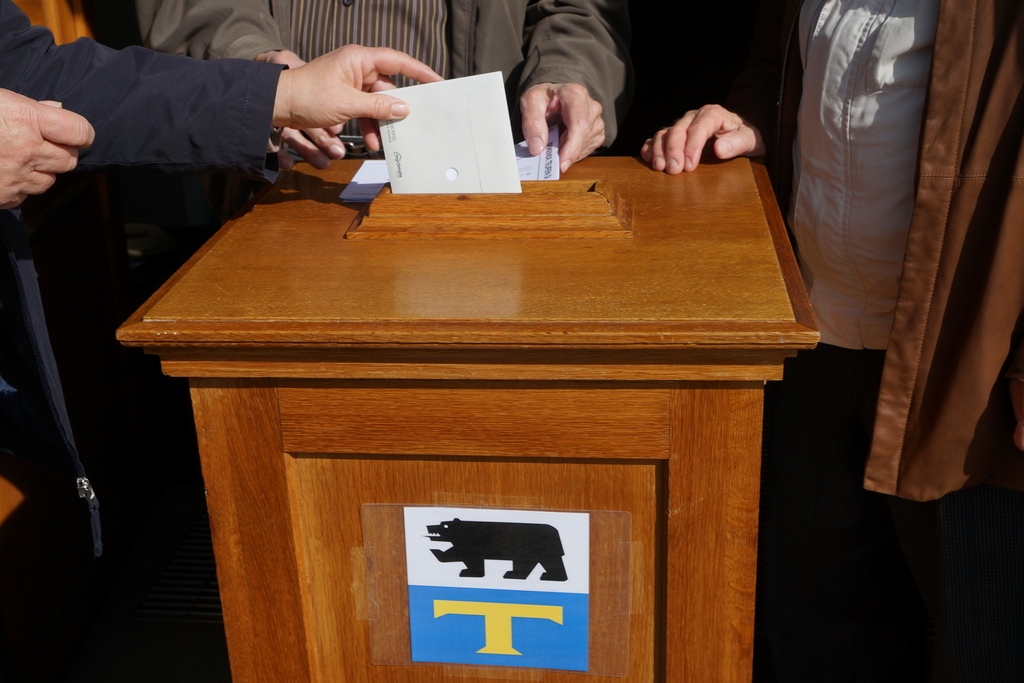 urne abstimmung april 2015 (9)