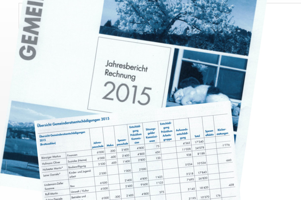 entschaedigungen GR Jahresbericht 2015