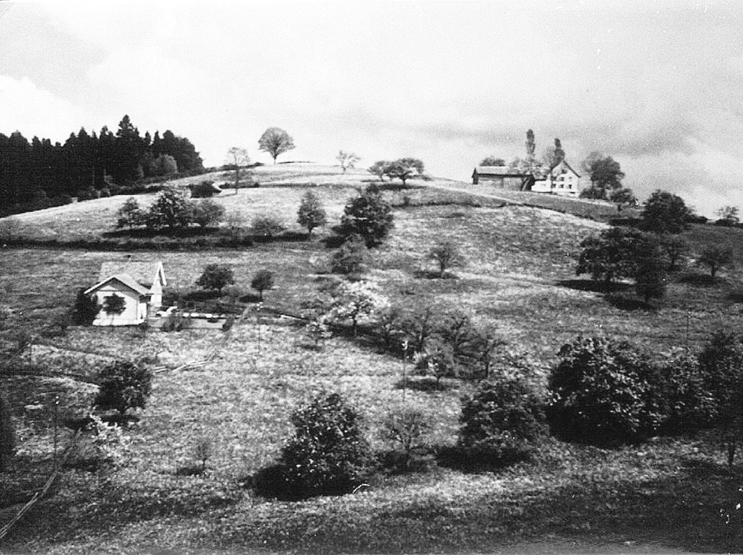 panorama ruetihof