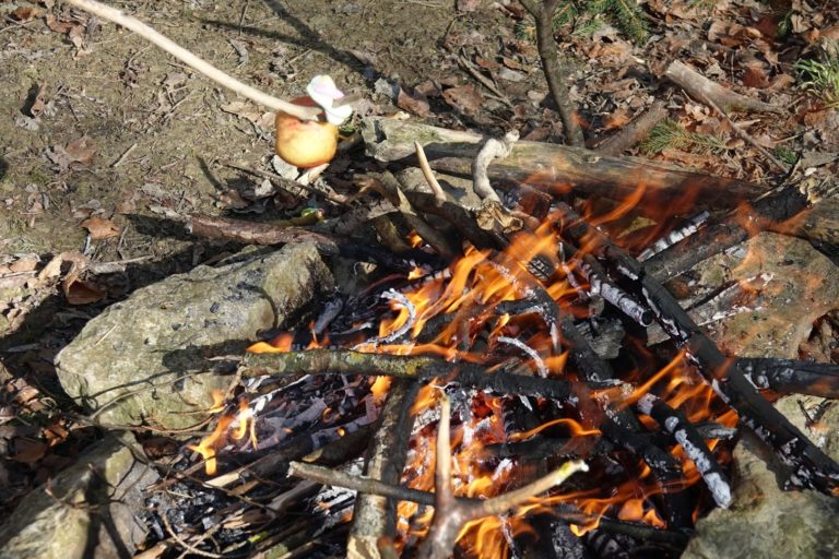 Sonderwoche Wald (11)