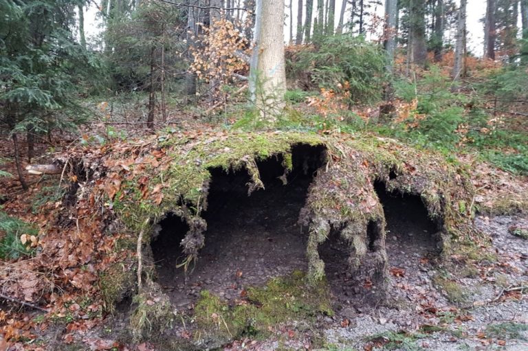 sturmschaden burglind (6)