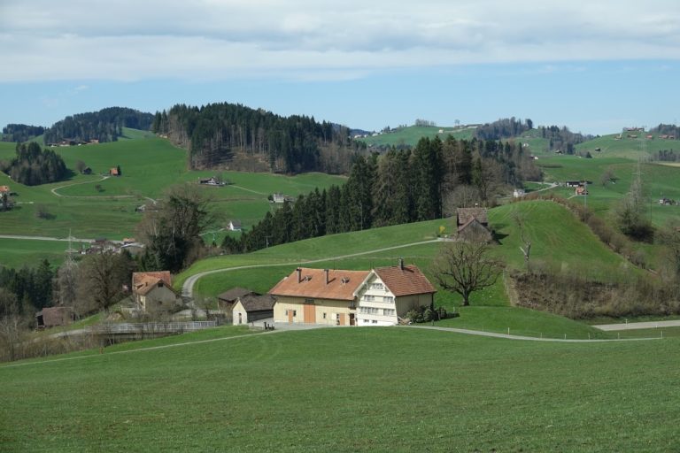 Berit Erich Nef Kast (386)