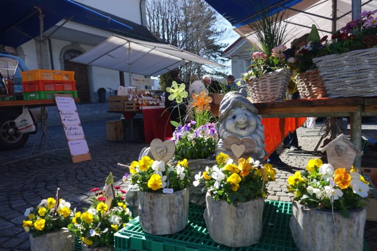 Frischmarkt April 2018 (1)