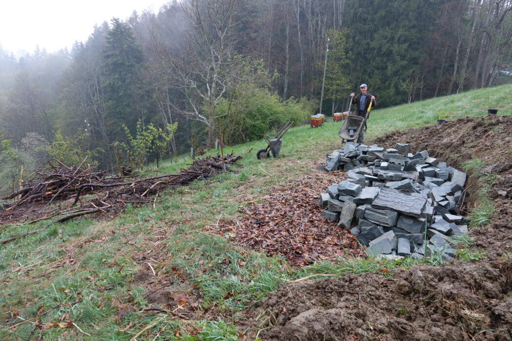 Andreas Kuster Biodiversitat_2022