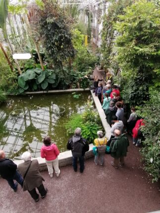 Botanischer_Garten (10)