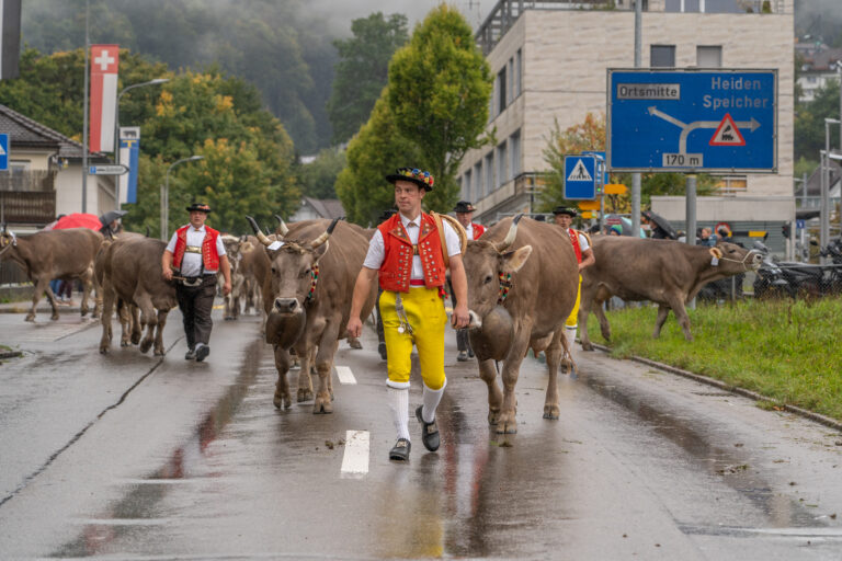 viehschau_2025 (40)