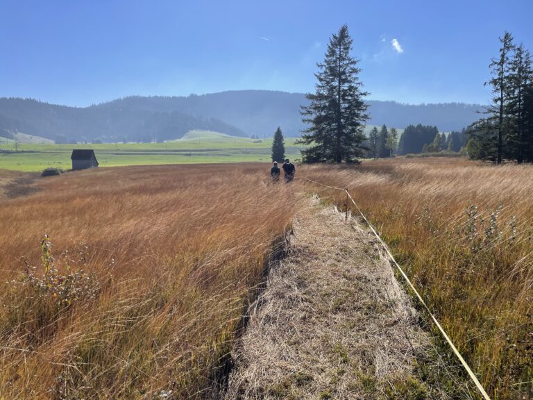 Wanderung_2025_Hochmoor (35)