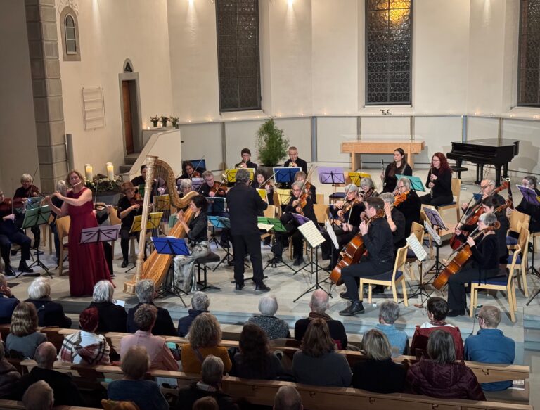 kammerorchester_2025 (1)