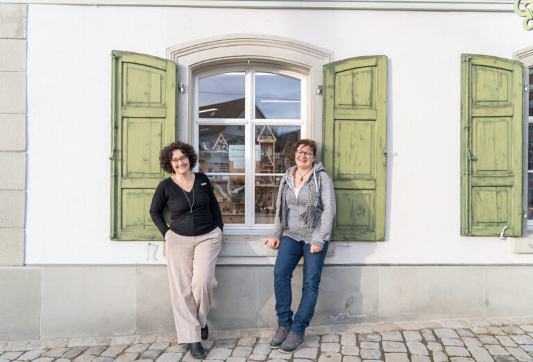 wichtelkalender_2025_bibliothek (2)