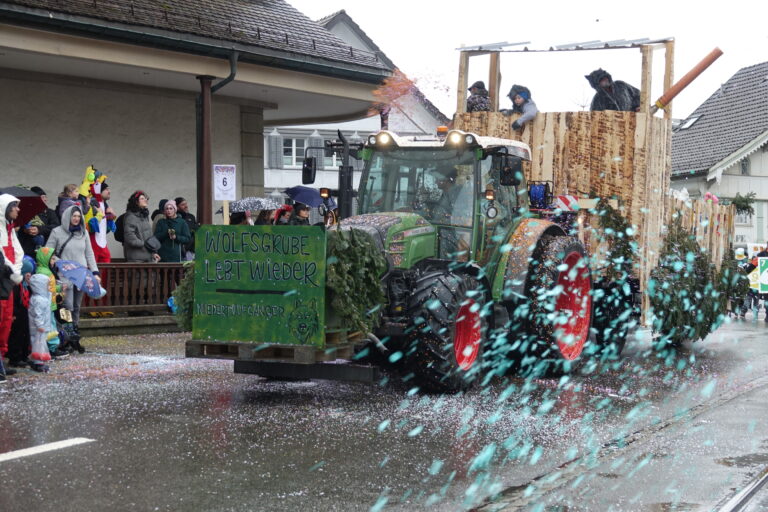 Fasnachtsumzug_2026 (44)