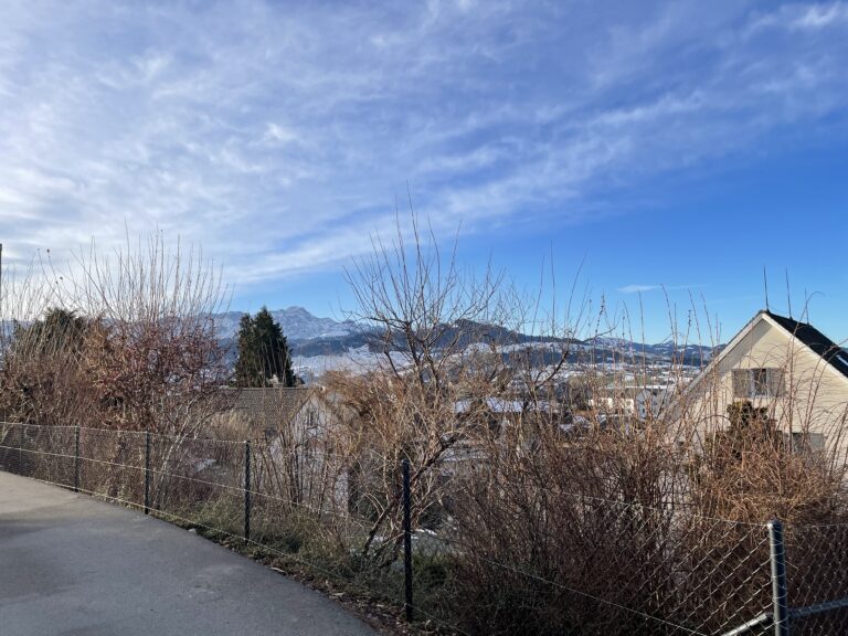 WaTü_Februar_2026 (1)