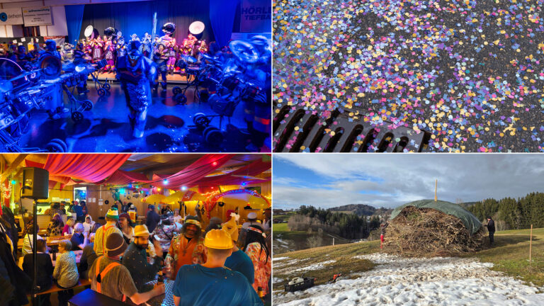 collage_fasnacht_flacher