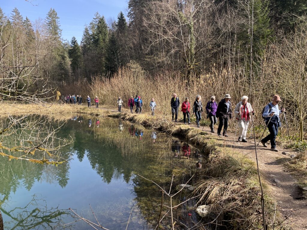 wanderung_pfäffikersee_2026 (22)