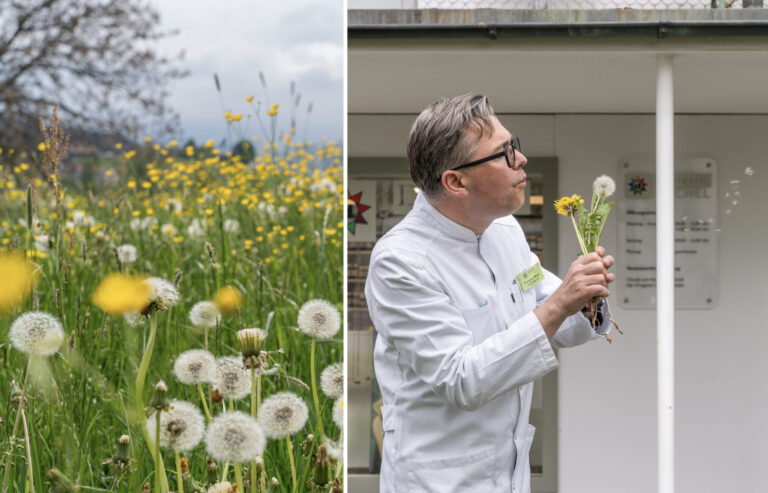 michel_pollen