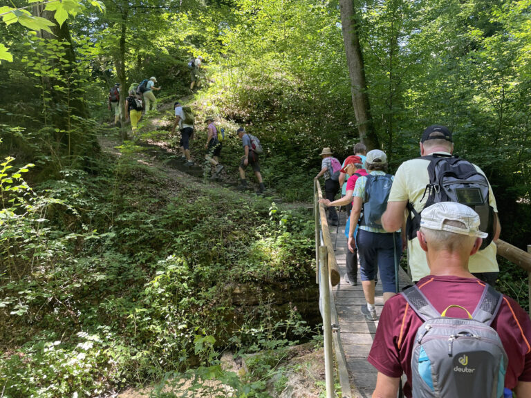 9-Wanderung_Fürstenland_2026 (35)
