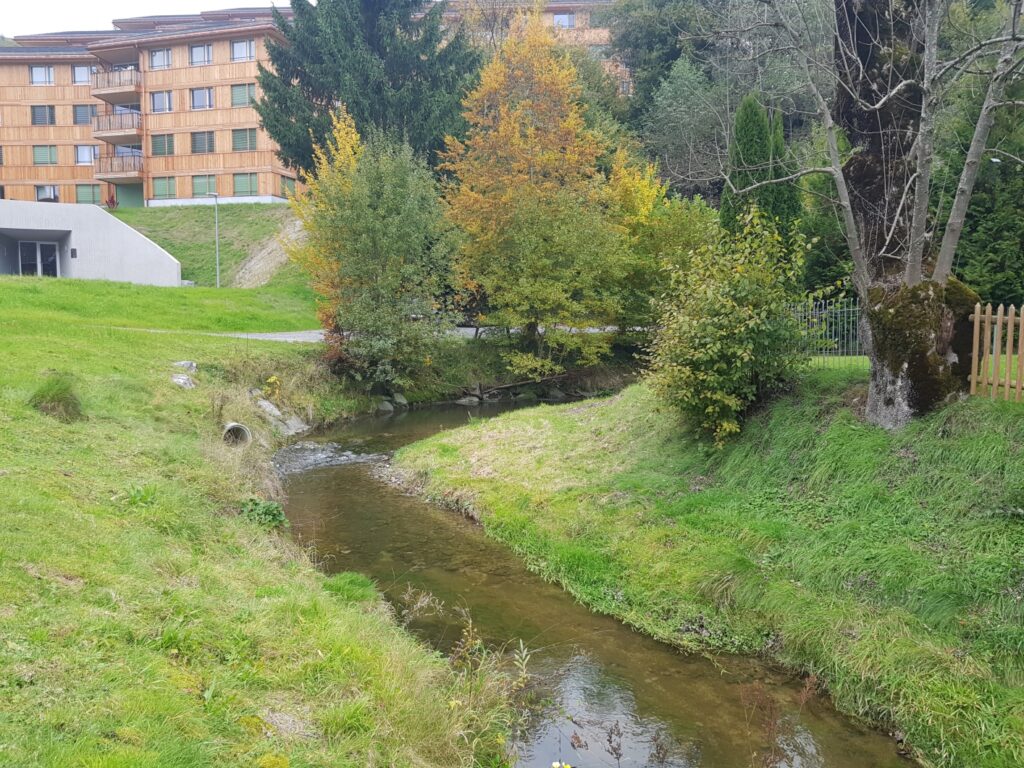 Auflandung Goldibach