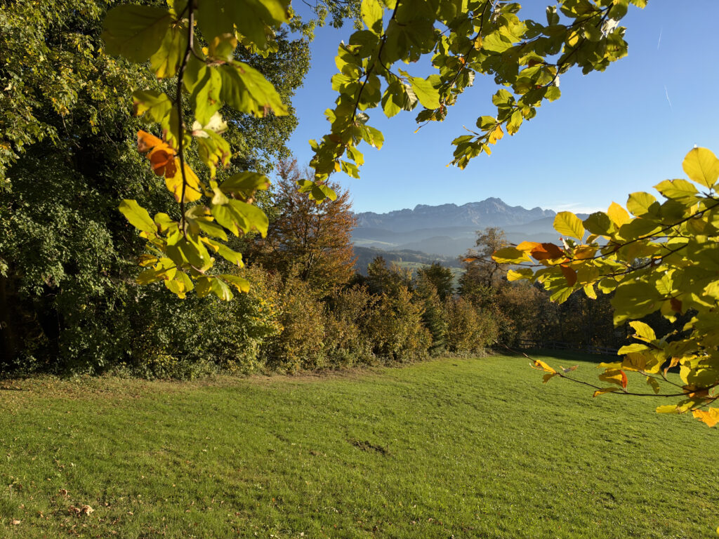 indian_summer_2026 (38)